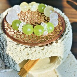夏の日の青い葡萄